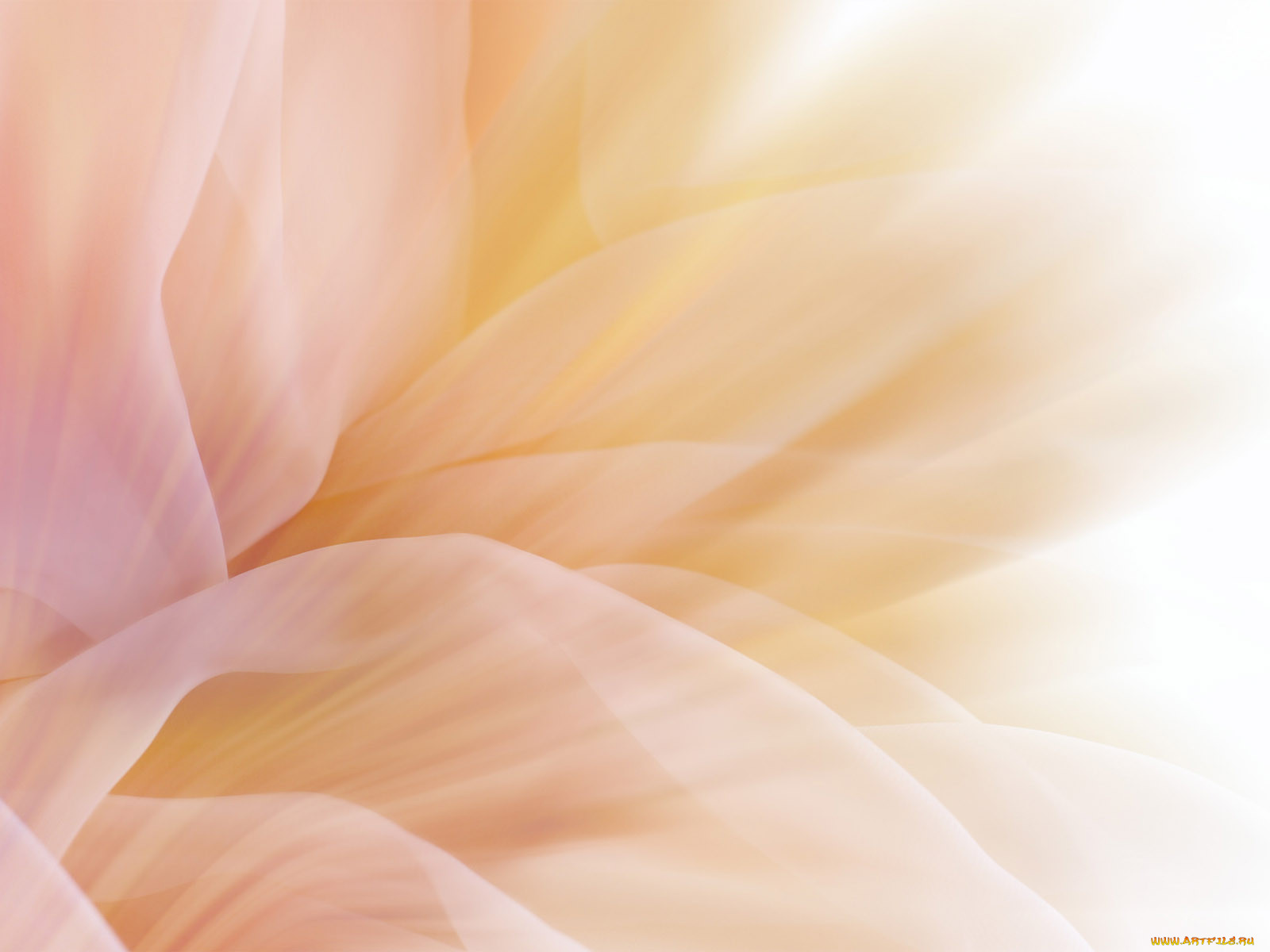 , desktop, decor